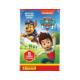 Paw Patrol TC Booster